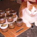 How To Make Your Own Pet Food (21 Recipes)