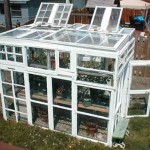 DIY Greenhouse From Old Windows