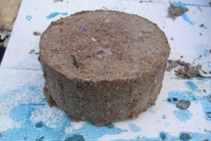 DIY Bio Fuel Briquettes