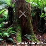 Creative Survival – 37 Survival Hacks