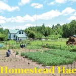 70+ Homestead Hacks