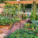 Increase Garden Productivity