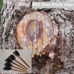 MIY Pine Pitch Glue