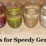 Soak Seeds for Speedy Germination