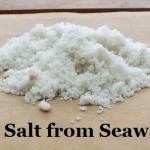 MIY Salt from Seawater