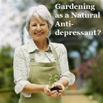 Is Gardening a Natural Anti-Depressant?