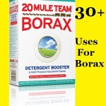 30+ Uses for Borax