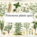 Poisonous plants quiz