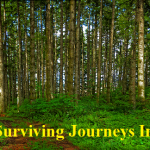 Tips For Surviving Journeys in the Wild