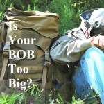 Is Your BOB Too Big?