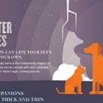 Saving Your Pet When Disaster Strikes Infographic