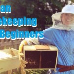 Urban Beekeeping for Beginners