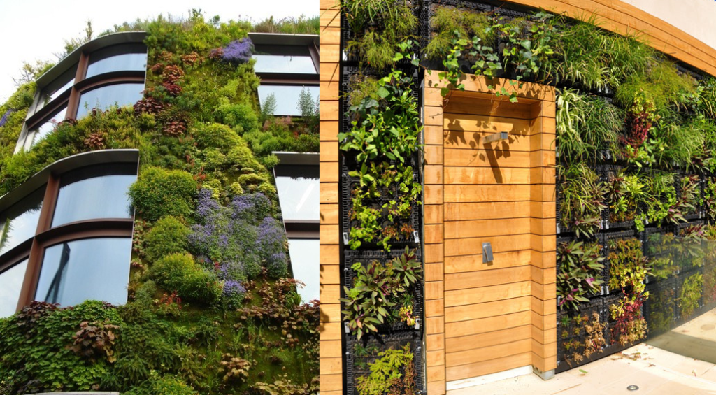 Wall Gardens Maximize Growing Space