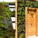 Wall Gardens Maximize Growing Space